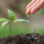 Posigreen se sustenta sobre la base de los 3 bio. Conócelos de primera mano.