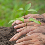 Posigreen quiere devolver a la tierra todo lo bueno que nos aporta reinventando el mundo de la agricultura.